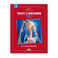 Le N°5 : Le corps humain